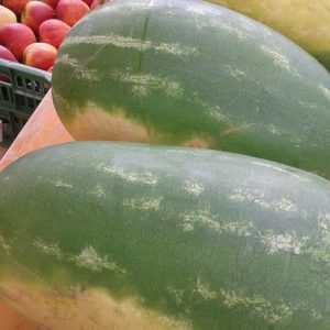 Obst für das Sportfest 2018