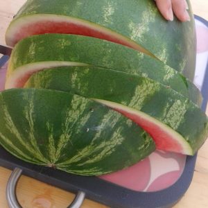 Melone für das Sportfest 2018